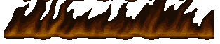 hot web sites