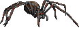 spider scary